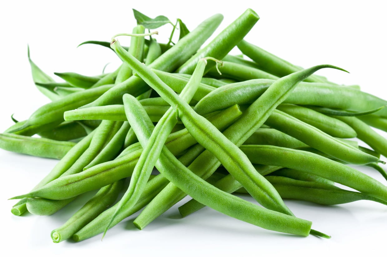 haricot-vert-agro-pastores